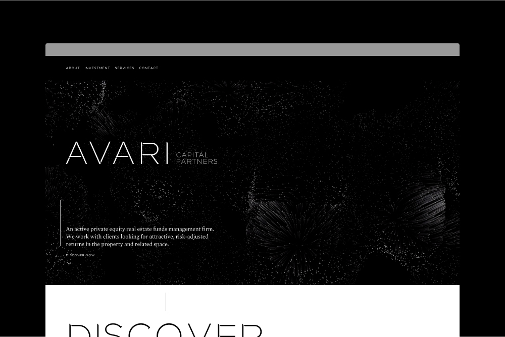 Avari Capital Partners